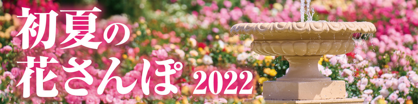 初夏の 花さんぽ 2022