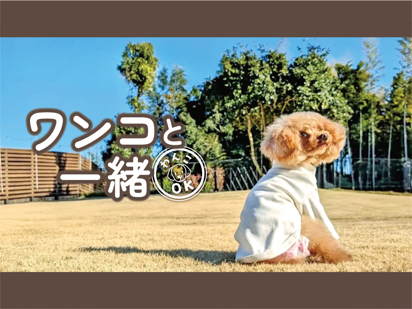 ワンコと一緒