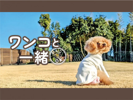 ワンコと一緒