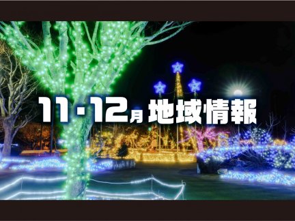 11・12月の地域情報