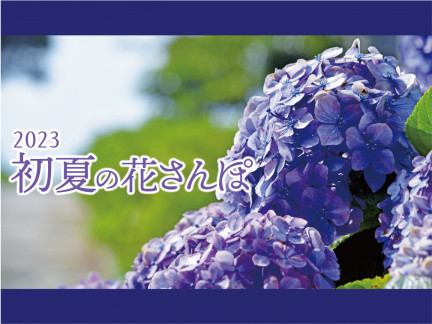 初夏の花さんぽ 2023