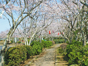 店舗画像
