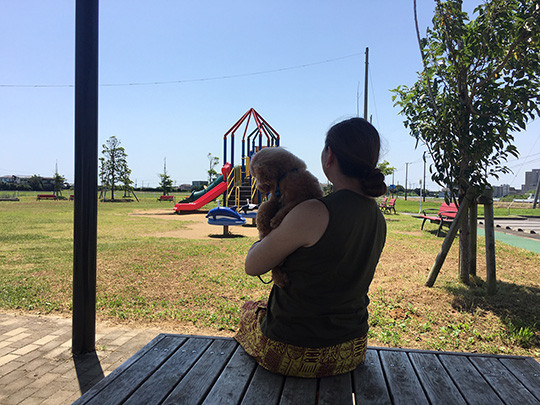 芝生広場は運転の休憩場所にも最適
ペットを連れての入場もできます