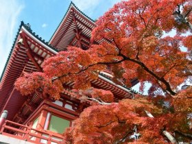 店舗画像